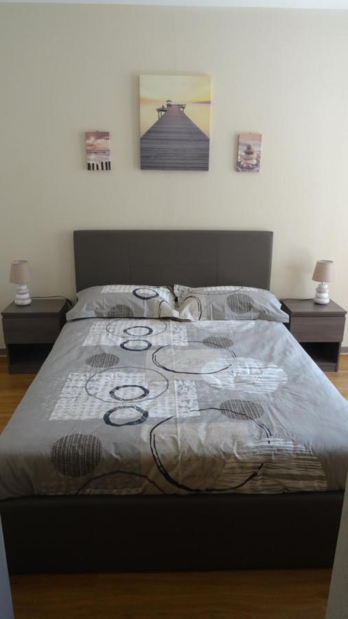 Appart T2 Standing Tout Confort Avec Balcon - Parking En Option Lyon Exterior foto