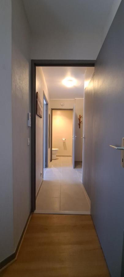 Appart T2 Standing Tout Confort Avec Balcon - Parking En Option Lyon Exterior foto